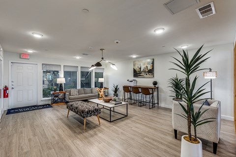 A living room with a couch, chairs, and a potted plant.