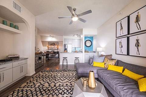 A living room with a grey couch and a black and white patterned rug.