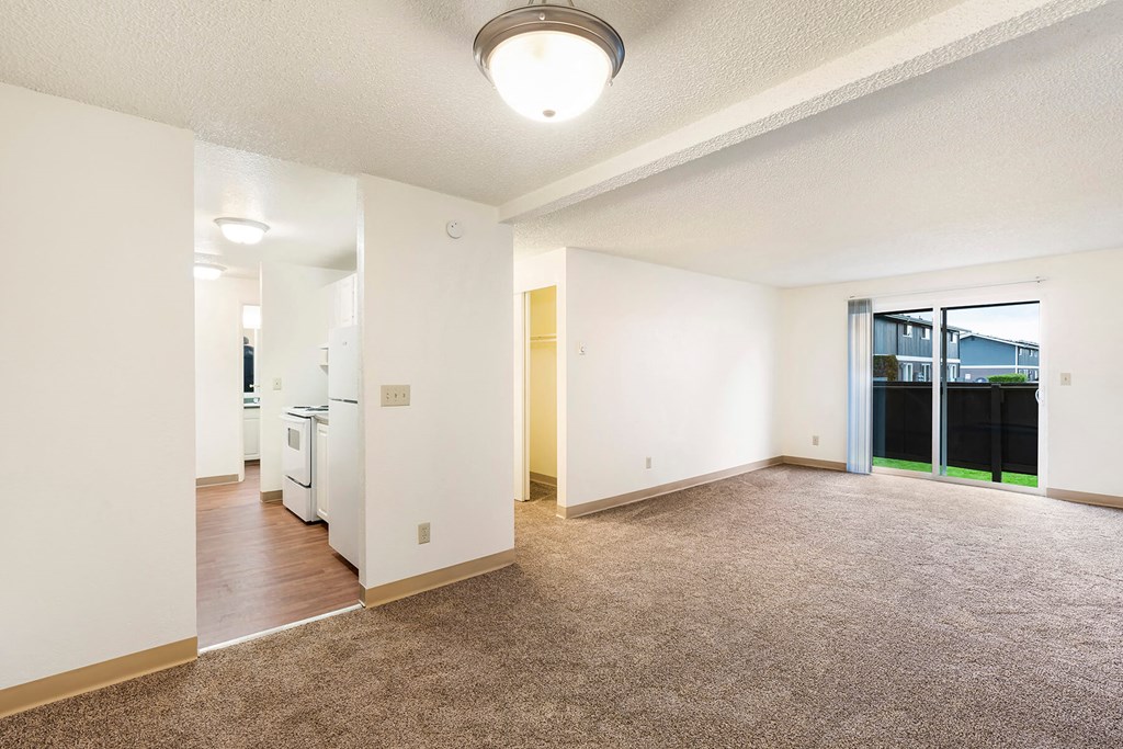 Living Room at Arbor Park Apartment Homes in Mount Vernon VA
