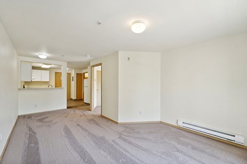 A carpeted room with a white wall and a door.
