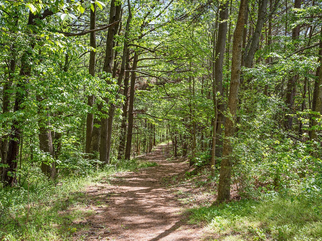 Lush park trail near Lakeside Vista in Kennesaw GA