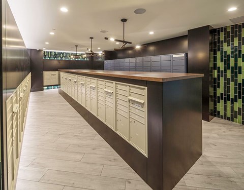 A long row of drawers are lined up on a counter.