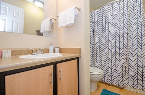 Bathroom at Rock Peak on Sunset Apartments in Longmont CO