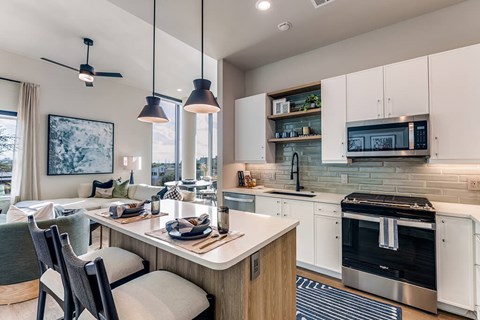 Sage design kitchen at 1010 Waugh Apartments in Houston TX