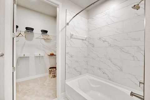 Model Sandalwood Design Package Bathroom and Closet at 1810 Main Apartments in Houston TX