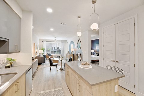Model Sandalwood Design Package Kitchen and Living Room at 1810 Main Apartments in Houston TX