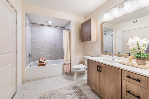 Sepia Design Package Bathroom at The Seaton Apartments in San Diego CA