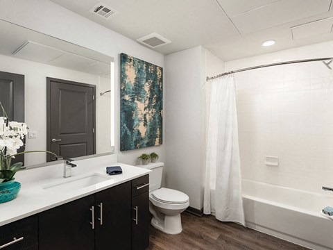 Primary bathroom suite at Norte Town Lake Apartments in Tempe Arizona