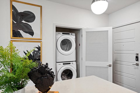 Model Washer and Dryer at Belhaven Apartments in Alexandria VA