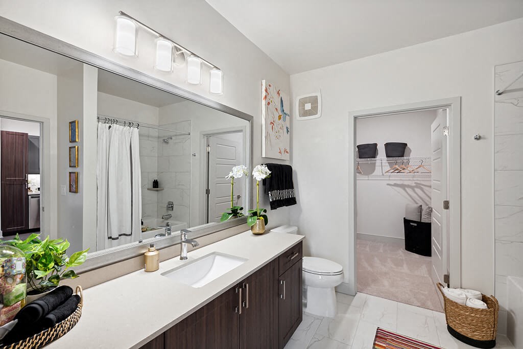 The Belhaven Apartments