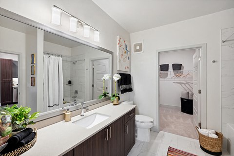 Nickel Scheme Bathroom 1 at Belhaven Apartments in Alexandria VA