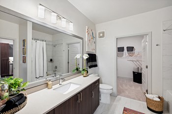Nickel Scheme Bathroom 1 at Belhaven Apartments in Alexandria VA - Photo Gallery 5