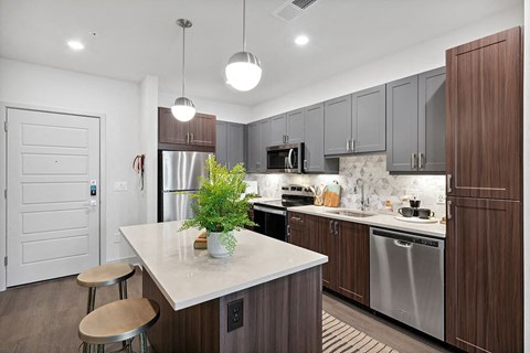 Nickel Scheme Kitchen 2 at Belhaven Apartments in Alexandria VA