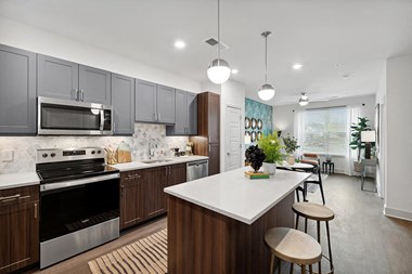 Nickle Scheme Kitchen 1 at Belhaven Apartments in Alexandria VA