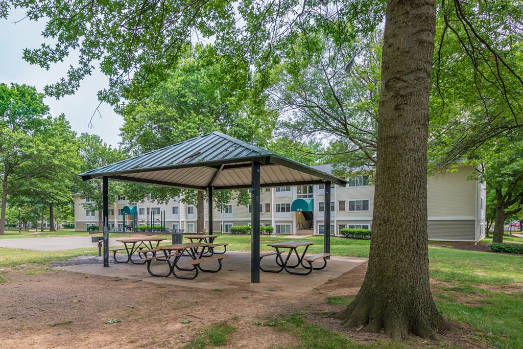 Lush outdoor area at Leesburg Apartments in Leesburg VA