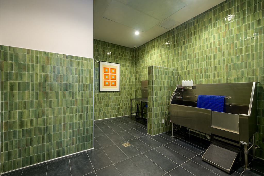 Pet wash area at Coasterra Apartments in Fort Lauderdale FL