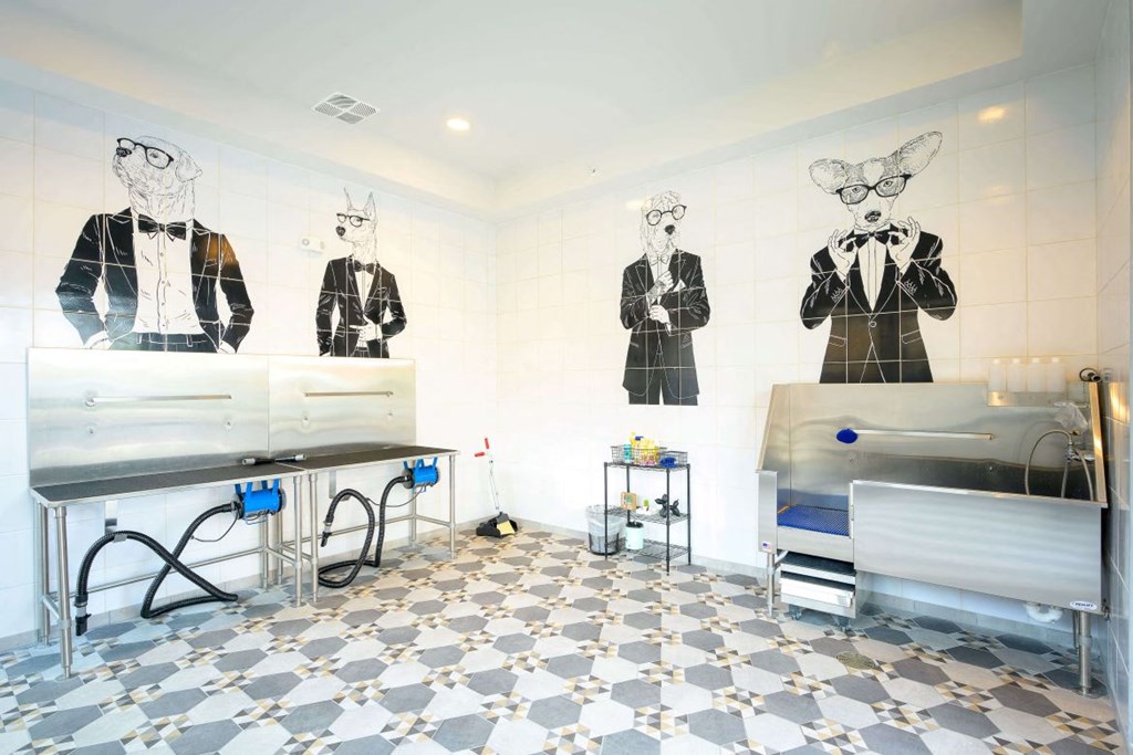 Pet spa station at The Moxley in Fairfax VA