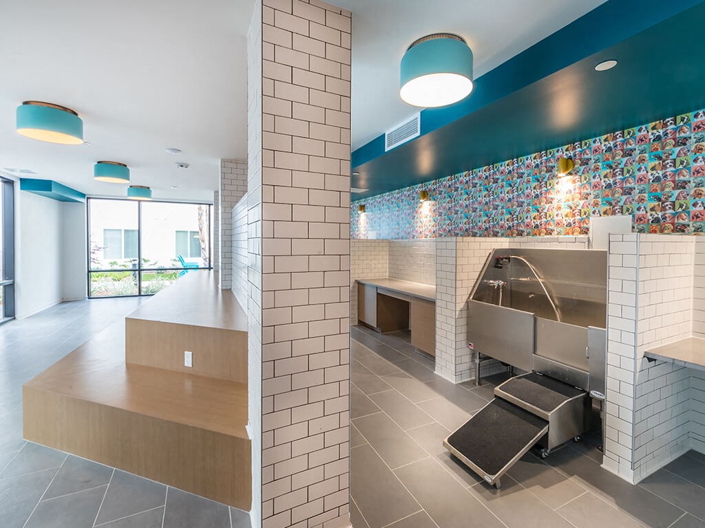 Pet Spa and Seating at Embark Apartments in Fremont CA