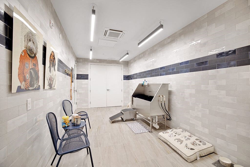 Pet Spa at 1810 Main Apartments in Houston TX