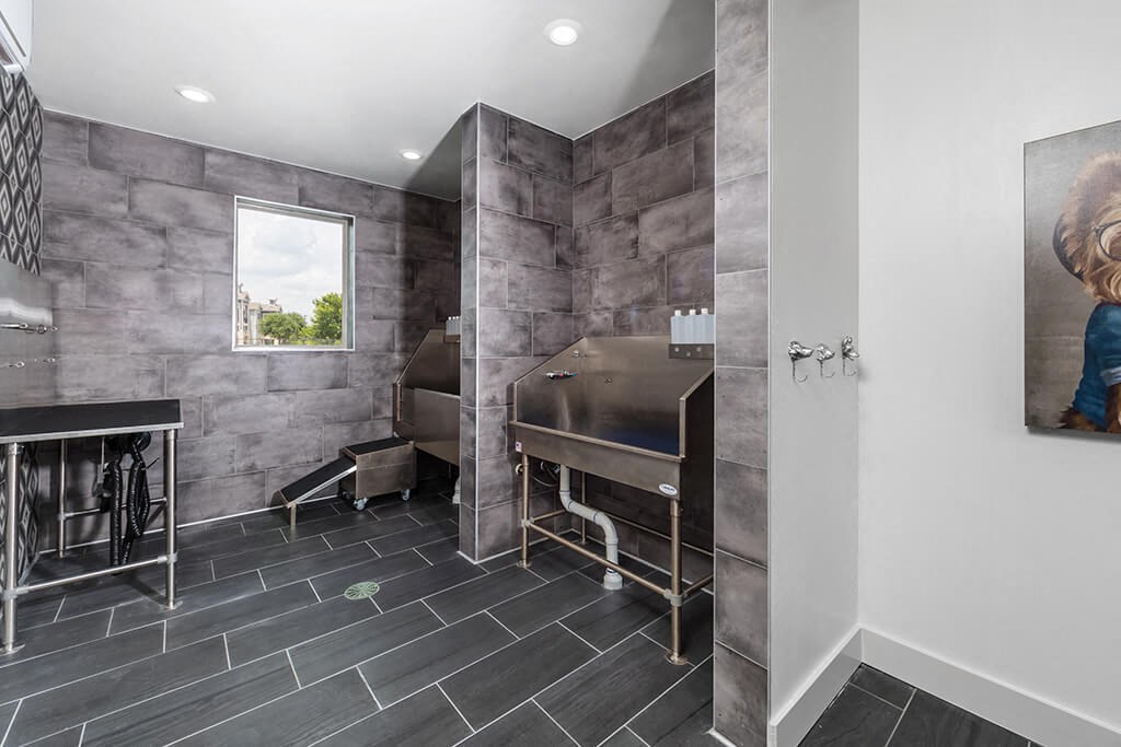 Pet spa at 1900 Parmer Apartments in Austin TX