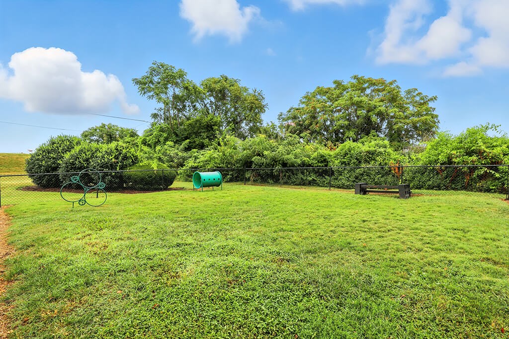 Pet park at City Side Flats Apartments in Nashville TN