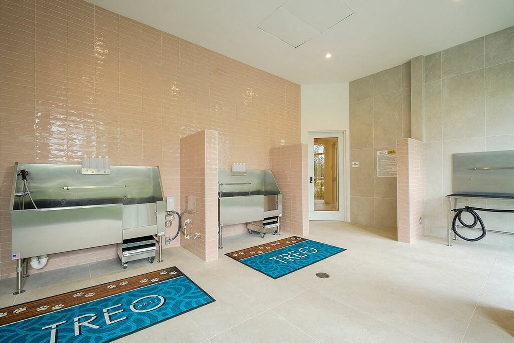 Pet spa at Treo Apartments in Fort Lauderdale FL