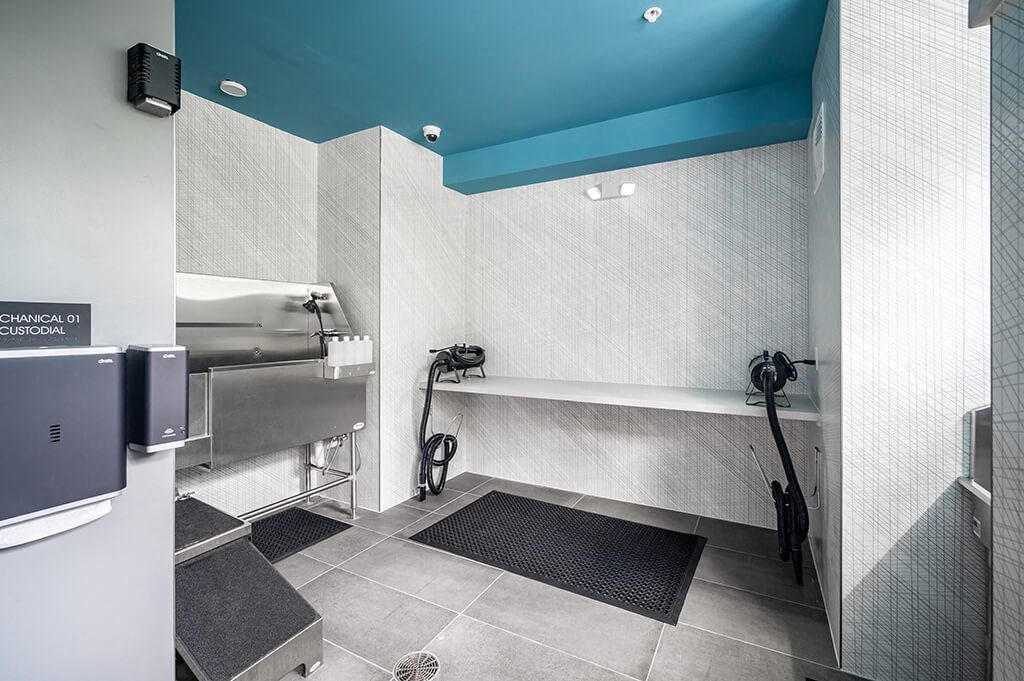 The Belhaven Apartments