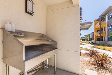 Exterior Dog Wash at The Braydon Apartments in Napa CA