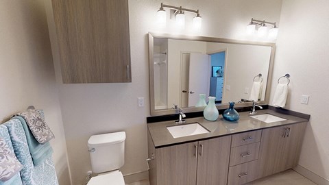 Model 2 Bed Blend Design Package Bathroom at The Braydon in Nap CA