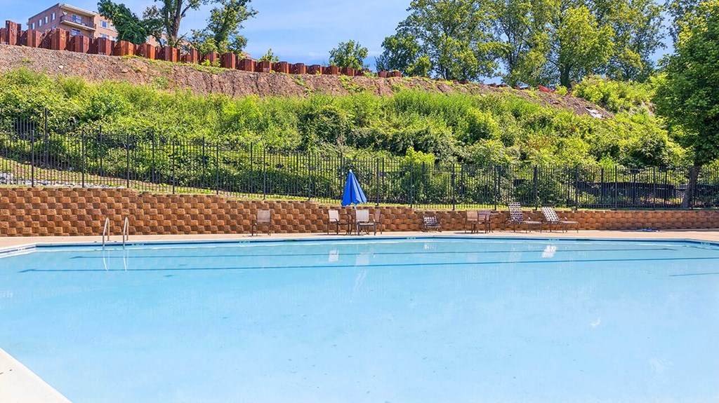 Pool with shrubbery at The Barrington in Silver Spring MD