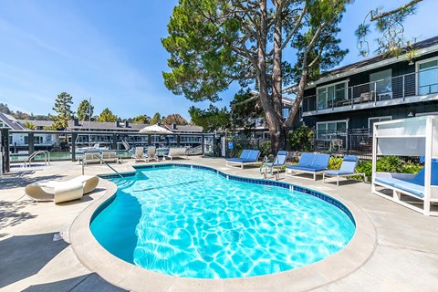 Large outdoor pool at The Cove at Tiburon Apartments in Tiburon CA