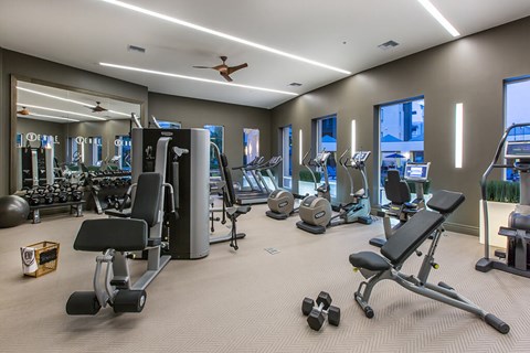 A spacious gym with a variety of equipment including treadmills, weights, and exercise machines.