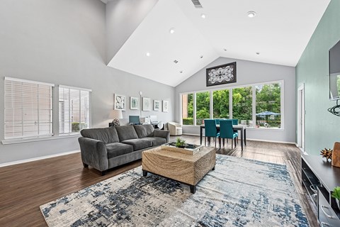 A living room with a grey sofa, a wooden coffee table, and a rug with a blue and white pattern.