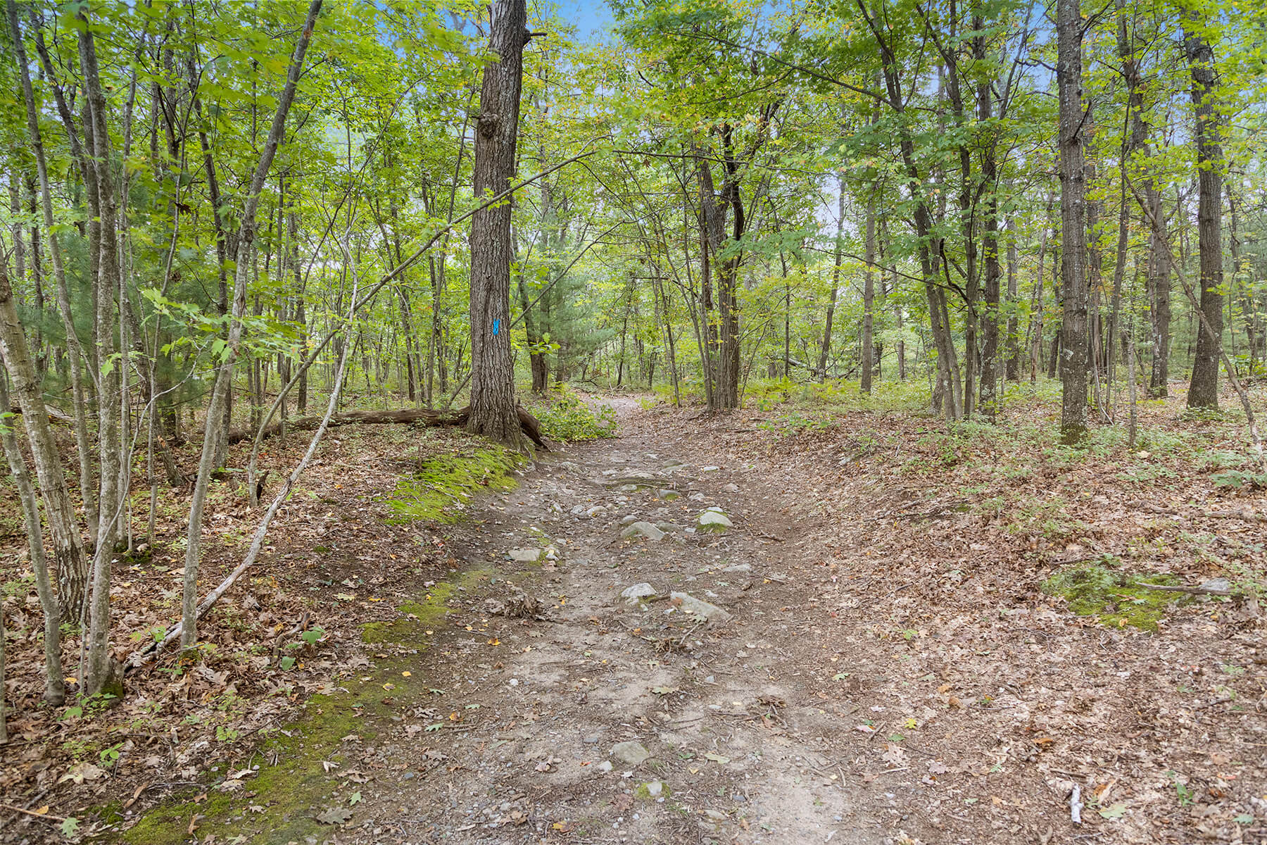 River Pointe at Den Rock Park Lawrence MA Park Trail