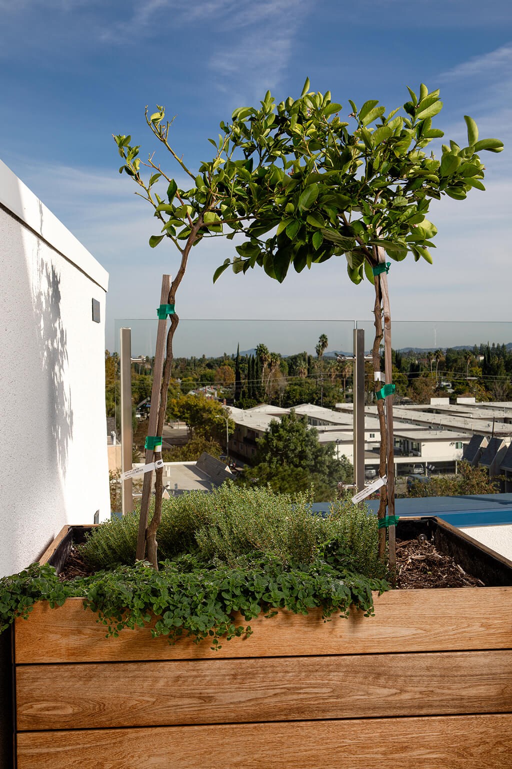 Pool Luminescence Spa Twilight at Chroma Apartment Homes in Canoga Park CA