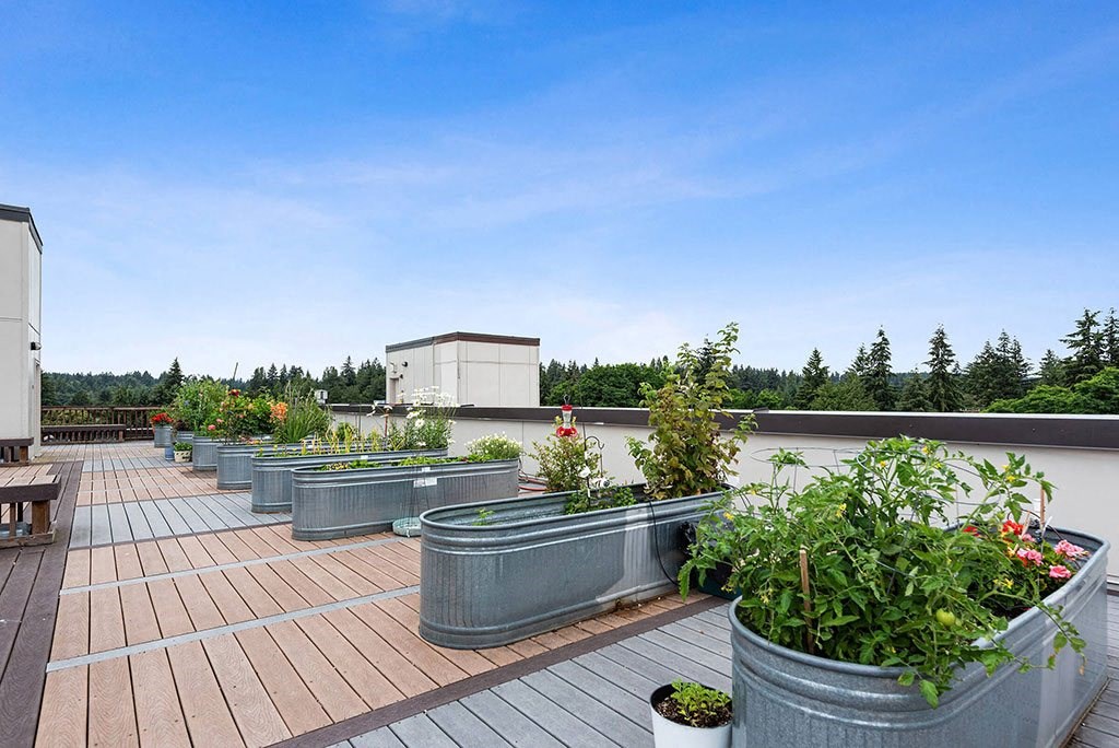 Rooftop garden at Cedar Park in Seattle WA