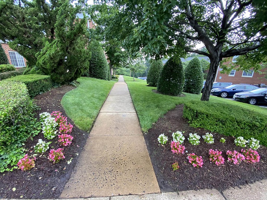 Sidewalk at Patrick Henry Apartments in Arlington, VA