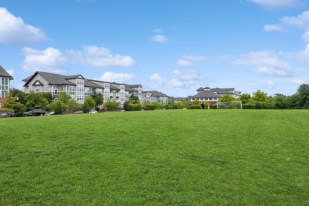 a soccer field with houses in the background