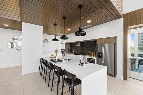 Social Lounge Kitchen at 1810 Main Apartments in Houston TX