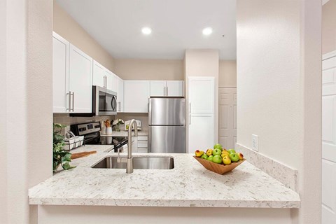 1390 Santa Alicia Ave Ste 400 1-3 Beds Apartment for Rent