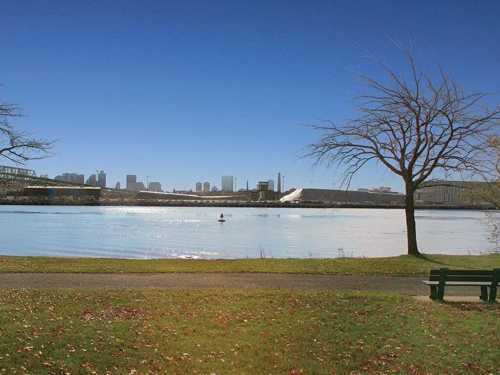 Surrounding park area