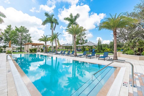 A large swimming pool surrounded by palm trees and lounge chairs.