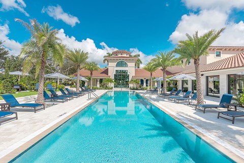 A large swimming pool surrounded by palm trees and lounge chairs.