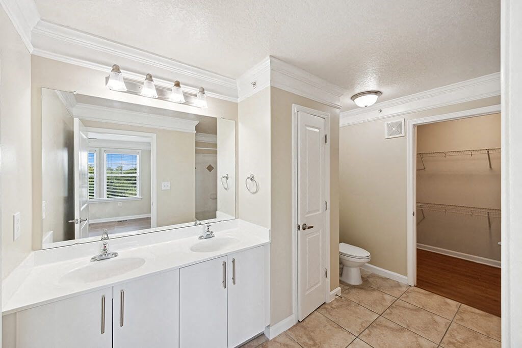 a bathroom with a sink and a mirror and a toilet