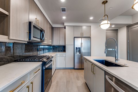 Kitchen at 1010 Waugh Apartments in Houston TX