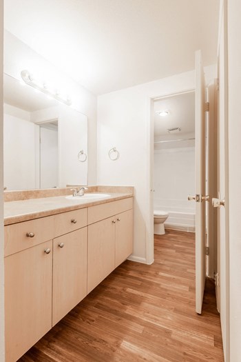 Vacant Bathroom - Photo Gallery 4
