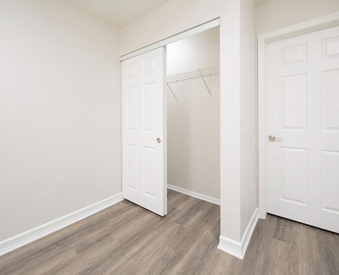 a bedroom with a closet and a door to a closet