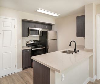 Vacant Dark Finish Kitchen at Il Palazzo Apartments in San Diego, CA