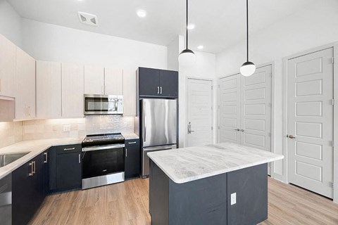 Penthouse Design Pacakge Kitchen at 1810 Main Apartments in Houston TX