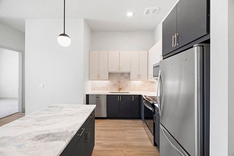 Penthouse Design Package Kitchen Details at 1810 Main Apartments in Houston TX